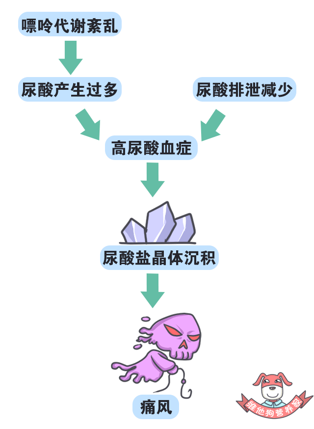 痛风与三氧大自血疗法