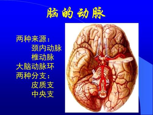 赞丨“三氧自血疗法”三次就帮我疏通了脑血管！