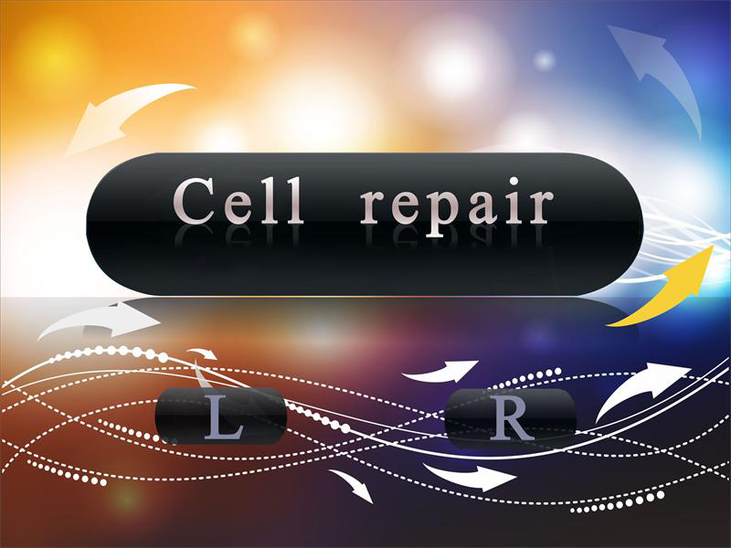 细胞修复治疗仪
