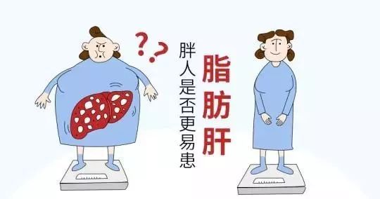 检查出脂肪肝，该怎么治？试试臭氧大自血疗法