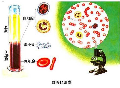 关注血液健康丨臭氧大自血疗法，远比你想象中有意义