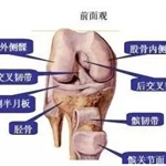 医用臭氧治疗仪仪 射频治疗仪 半导体激光治疗仪 穿刺针 洗肠仪