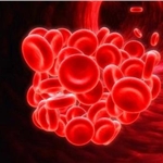 三氧自血疗法对红细胞的影响