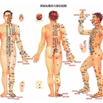 医用臭氧仪 射频治疗仪 半导体激光治疗仪 介入穿刺针 肠排毒治疗仪